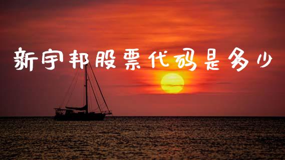 新宇邦股票代码是多少_https://cj006.lansai.wang_外汇交易_第1张