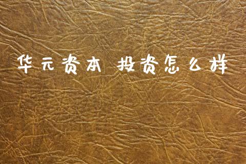 华元资本 投资怎么样_https://cj006.lansai.wang_财经新闻_第1张