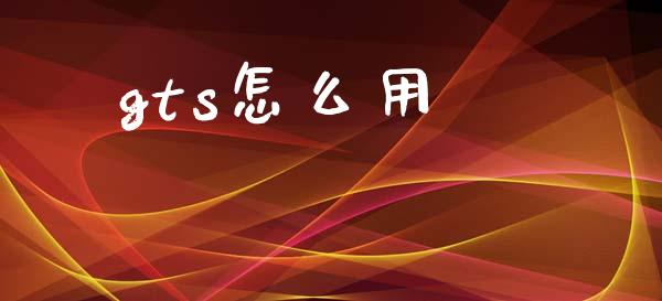 gts怎么用_https://cj006.lansai.wang_金融监管_第1张