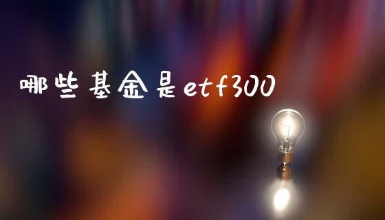 哪些基金是etf300_https://cj006.lansai.wang_财经新闻_第1张
