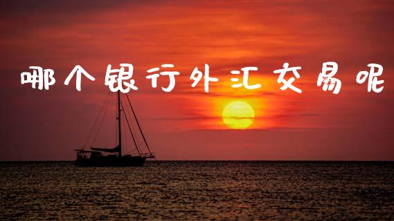哪个银行外汇交易呢_https://cj006.lansai.wang_财经新闻_第1张