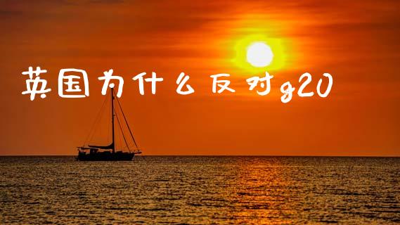 英国为什么反对g20_https://cj006.lansai.wang_金融监管_第1张