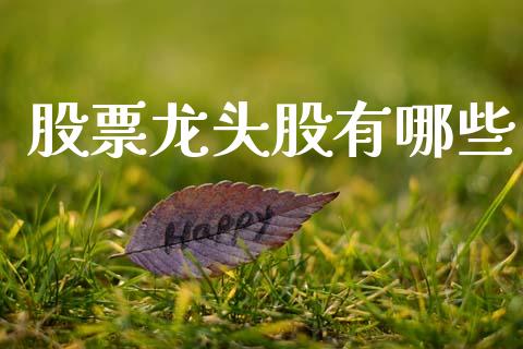 股票龙头股有哪些_https://cj006.lansai.wang_期货开户_第1张