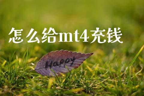 怎么给mt4充钱_https://cj006.lansai.wang_财经新闻_第1张