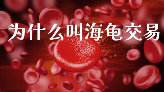 为什么叫海龟交易_期货开户_第1张_期货开户_金融监管_外汇交易_债券资讯_全球市场_财经新闻 为什么叫海龟交易_https://cj006.lansai.wang_期货开户_第1张