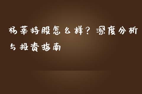 杨莘持股怎么样？深度分析与投资指南_https://cj006.lansai.wang_财经新闻_第1张