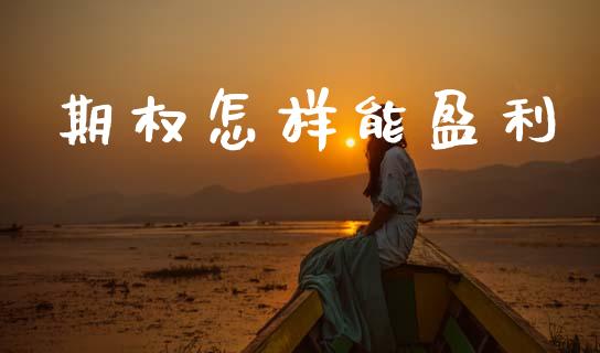 期权怎样能盈利_https://cj006.lansai.wang_外汇交易_第1张