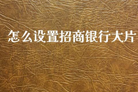 怎么设置招商银行大片_https://cj006.lansai.wang_外汇交易_第1张