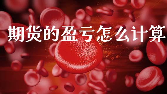 期货的盈亏怎么计算_https://cj006.lansai.wang_金融监管_第1张