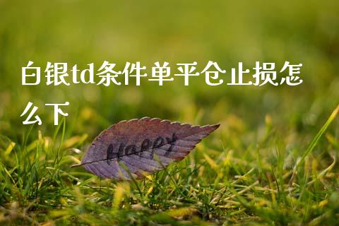 白银td条件单平仓止损怎么下_https://cj006.lansai.wang_债券资讯_第1张