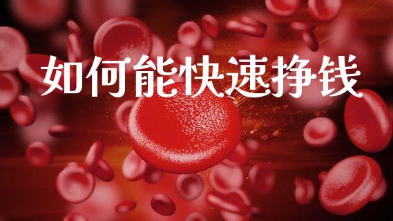 如何能快速挣钱_https://cj006.lansai.wang_债券资讯_第1张