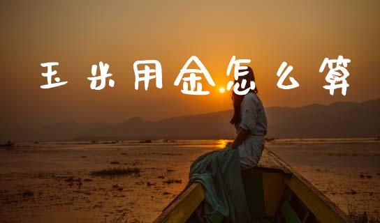 玉米用金怎么算_https://cj006.lansai.wang_债券资讯_第1张