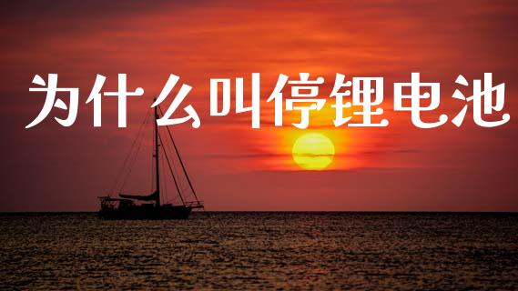 为什么叫停锂电池_https://cj006.lansai.wang_财经新闻_第1张