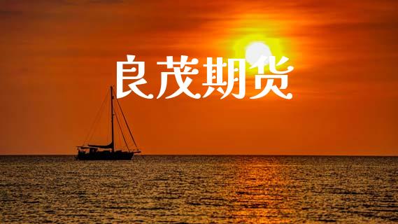 良茂期货_https://cj006.lansai.wang_全球市场_第1张