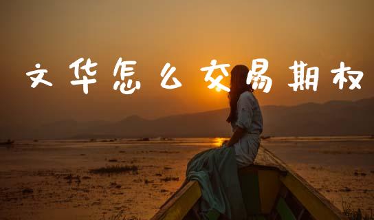 文华怎么交易期权_https://cj006.lansai.wang_外汇交易_第1张