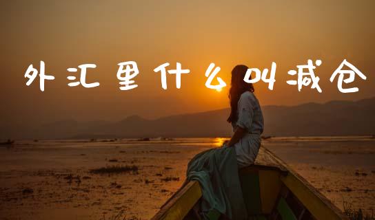外汇里什么叫减仓_https://cj006.lansai.wang_债券资讯_第1张