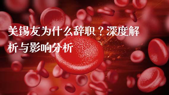 关锡友为什么辞职？深度解析与影响分析_https://cj006.lansai.wang_金融监管_第1张