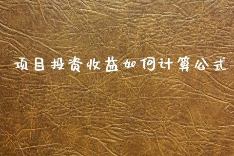 项目投资收益如何计算公式_https://cj006.lansai.wang_金融监管_第1张