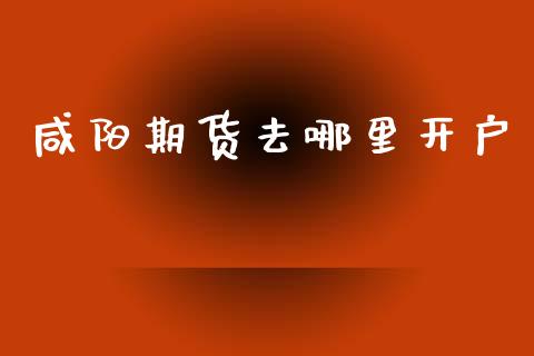 咸阳期货去哪里开户_https://cj006.lansai.wang_金融监管_第1张