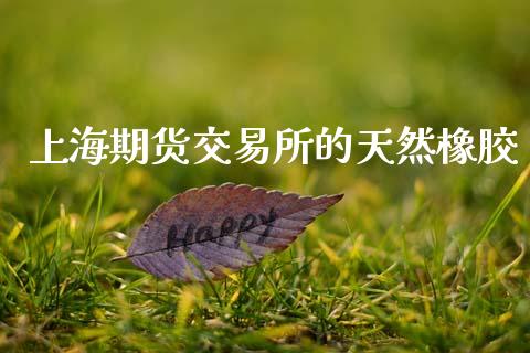 上海期货交易所的天然橡胶_https://cj006.lansai.wang_债券资讯_第1张