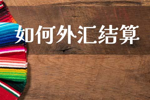 如何外汇结算_https://cj006.lansai.wang_债券资讯_第1张