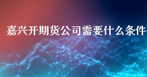 嘉兴开期货公司需要什么条件_https://cj006.lansai.wang_债券资讯_第1张