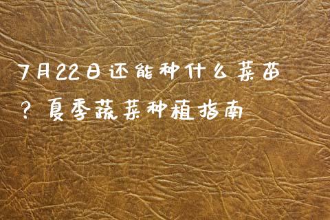 7月22日还能种什么菜苗？夏季蔬菜种植指南_https://cj006.lansai.wang_全球市场_第1张