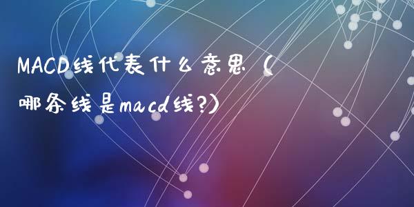 MACD线代表什么意思（哪条线是macd线?）_https://cj006.lansai.wang_外汇交易_第1张