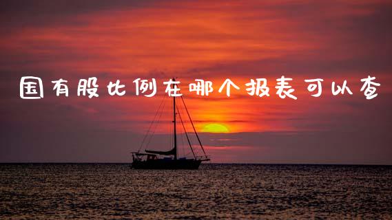 国有股比例在哪个报表可以查_https://cj006.lansai.wang_债券资讯_第1张