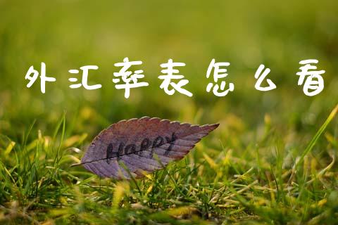 外汇率表怎么看_https://cj006.lansai.wang_债券资讯_第1张