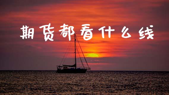期货都看什么线_https://cj006.lansai.wang_债券资讯_第1张