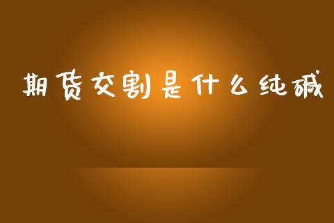 期货交割是什么纯碱_https://cj006.lansai.wang_金融监管_第1张