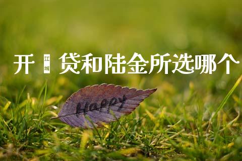 开鑫贷和陆金所选哪个_https://cj006.lansai.wang_外汇交易_第1张
