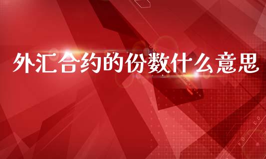 外汇合约的份数什么意思_https://cj006.lansai.wang_债券资讯_第1张