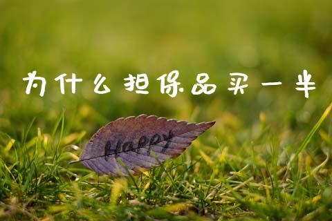 为什么担保品买一半_https://cj006.lansai.wang_期货开户_第1张