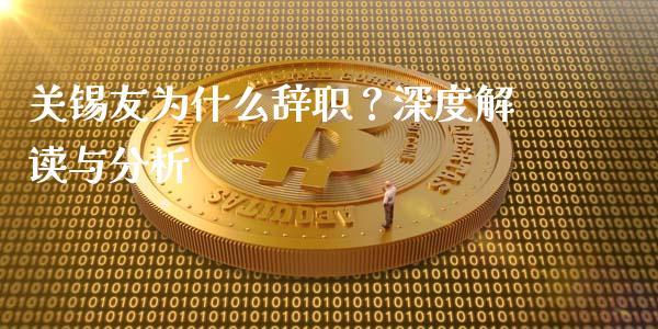 关锡友为什么辞职？深度解读与分析_https://cj006.lansai.wang_金融监管_第1张