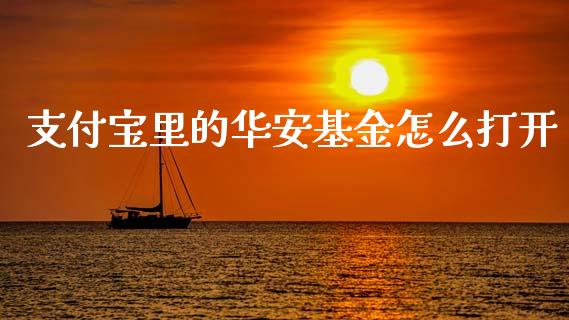 支付宝里的华安基金怎么打开_https://cj006.lansai.wang_外汇交易_第1张
