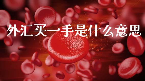 外汇买一手是什么意思_https://cj006.lansai.wang_外汇交易_第1张