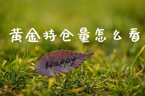 黄金持仓量怎么看_https://cj006.lansai.wang_财经新闻_第1张