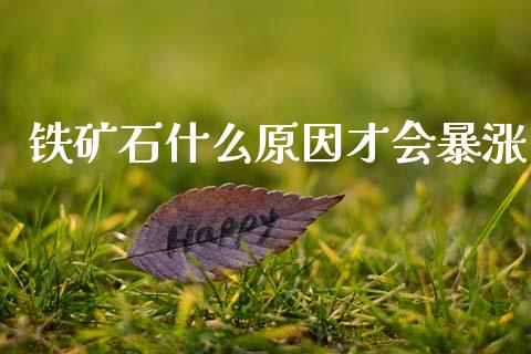 铁矿石什么原因才会暴涨_https://cj006.lansai.wang_债券资讯_第1张