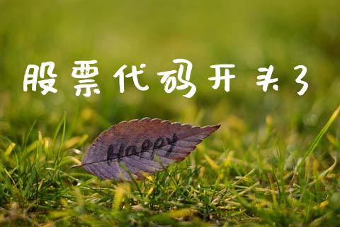 股票代码开头3_https://cj006.lansai.wang_财经新闻_第1张