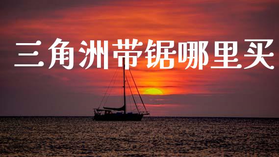 三角洲带锯哪里买_https://cj006.lansai.wang_期货开户_第1张