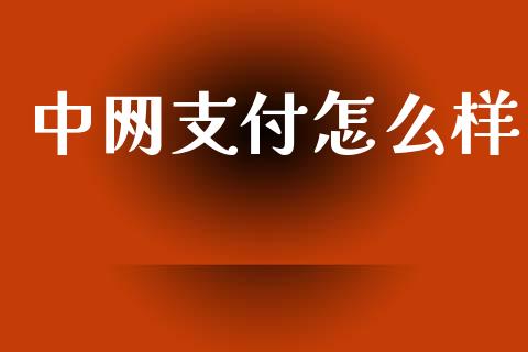 中网支付怎么样_https://cj006.lansai.wang_期货开户_第1张