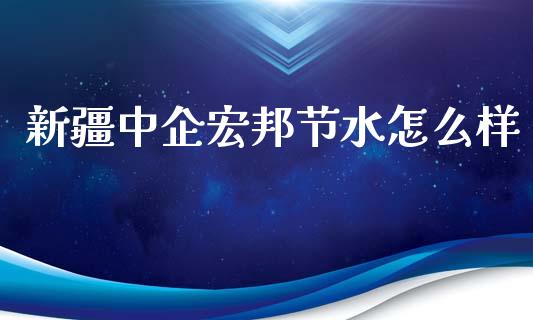 新疆中企宏邦节水怎么样_https://cj006.lansai.wang_金融监管_第1张