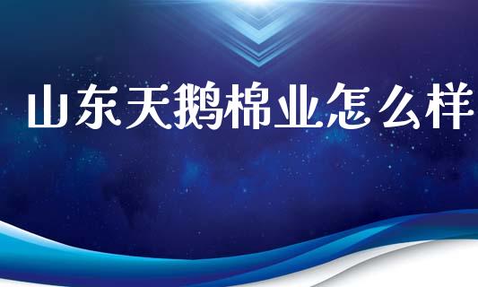 山东天鹅棉业怎么样_https://cj006.lansai.wang_金融监管_第1张