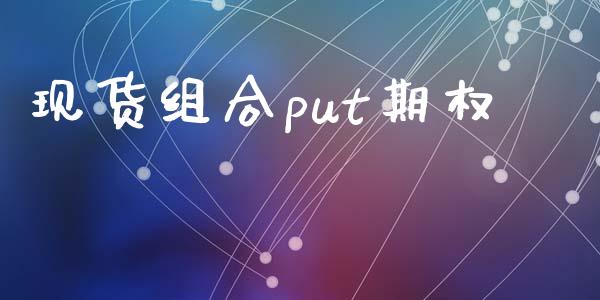现货组合put期权_https://cj006.lansai.wang_金融监管_第1张