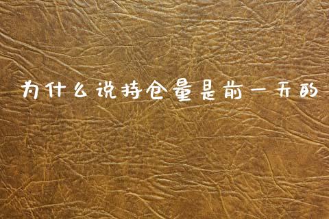 为什么说持仓量是前一天的_https://cj006.lansai.wang_外汇交易_第1张