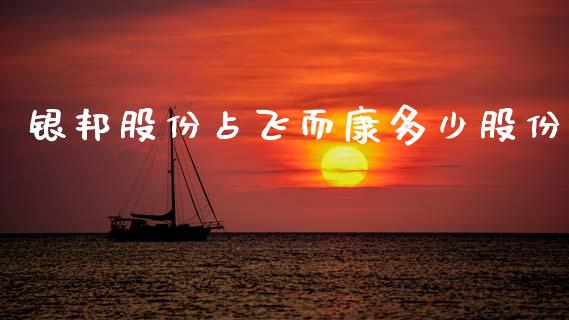 银邦股份占飞而康多少股份_https://cj006.lansai.wang_外汇交易_第1张