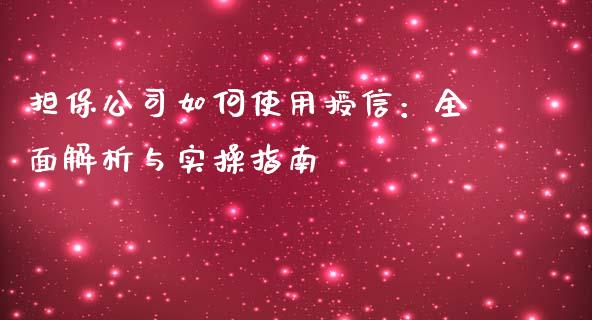 担保公司如何使用授信：全面解析与实操指南_https://cj006.lansai.wang_期货开户_第1张