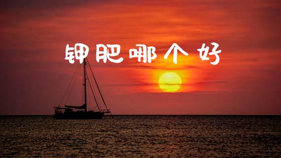 钾肥哪个好_https://cj006.lansai.wang_债券资讯_第1张